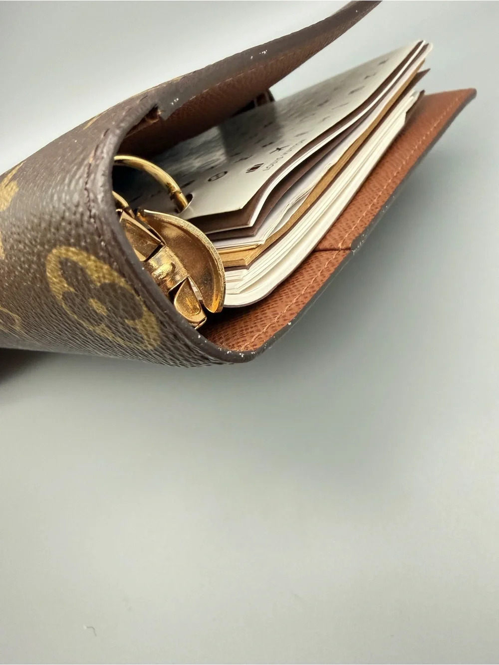 Louis Vuitton iconic louis